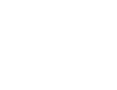 Благовещенский арматурный завод