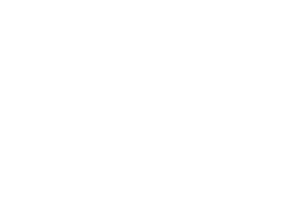 Выксунский металлургический завод